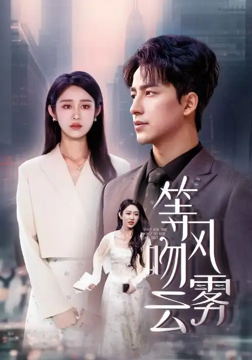 都市情感电视剧全集免费观看